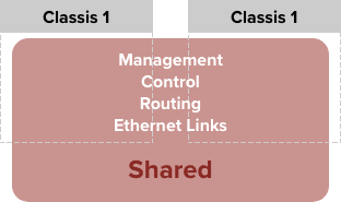 VSF (Virtual Switching Framework)