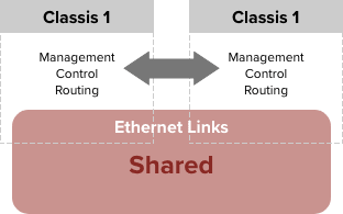 VSX (Virtual Switching Extension)
